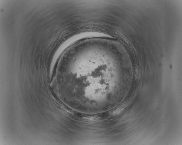 X0000061740561200512091613