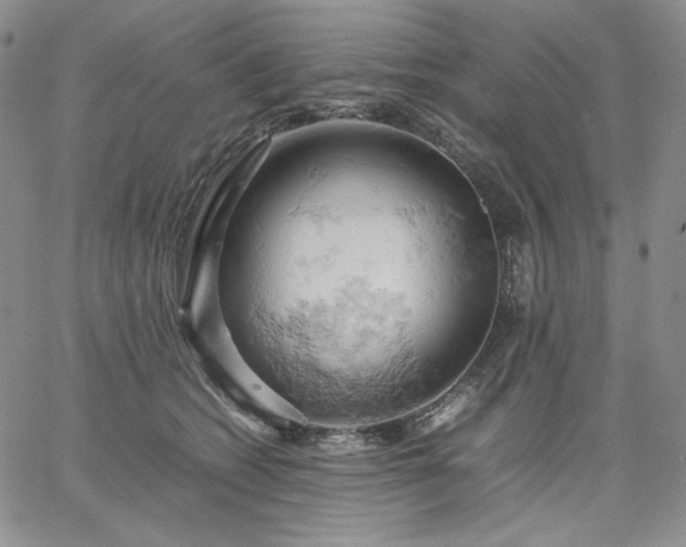 X0000061740562200512091613