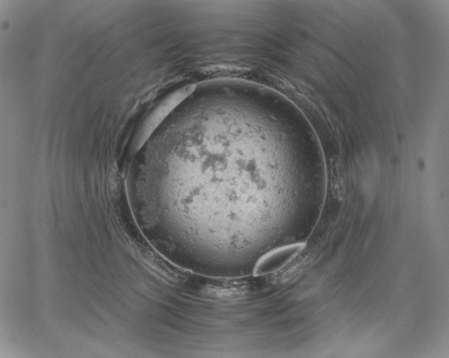 X0000061740563200512091613