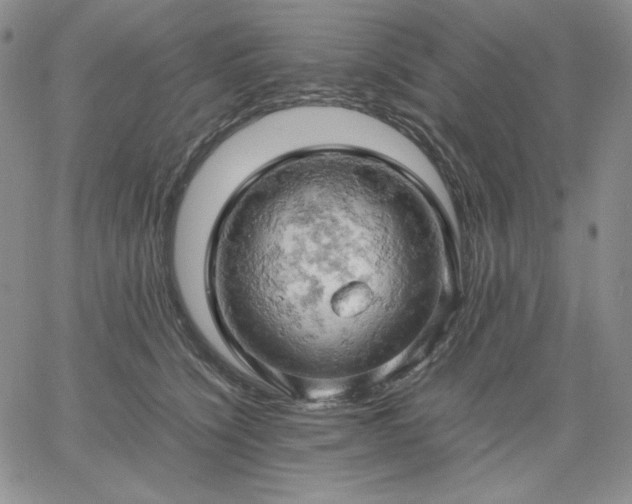 X0000061740564200512091613