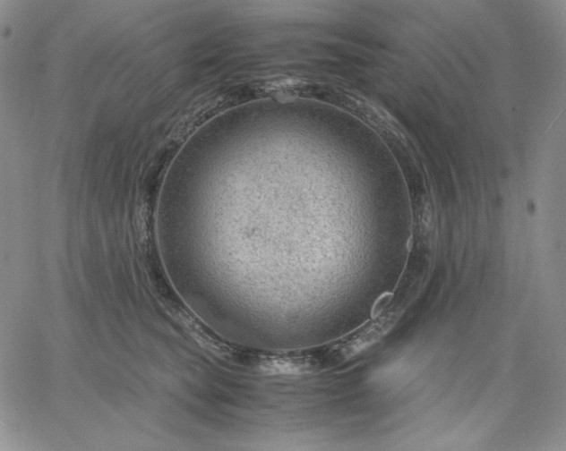 X0000061740565200512091613