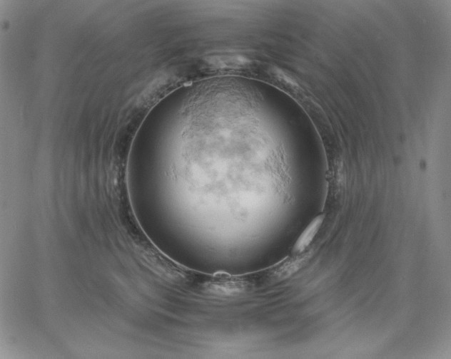 X0000061740567200512091613