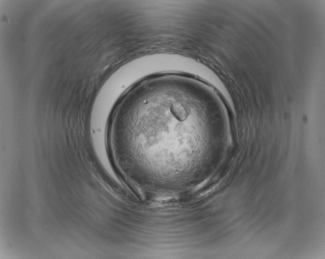 X0000061740568200512091613