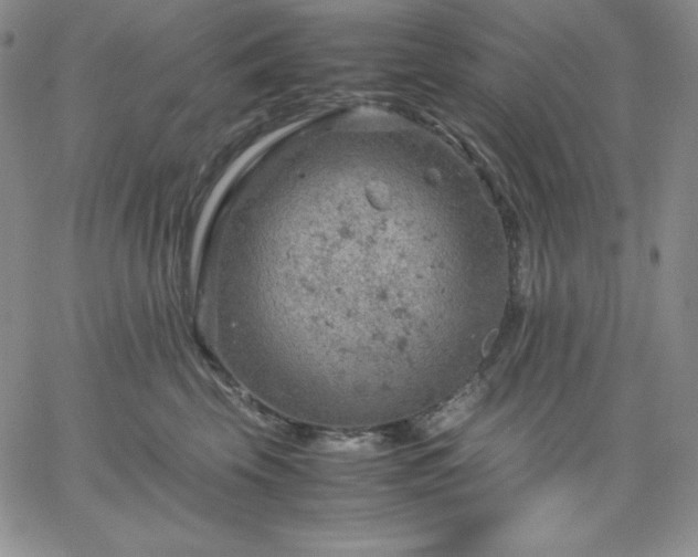 X0000061740569200512091613