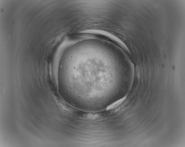 X0000061740570200512091613