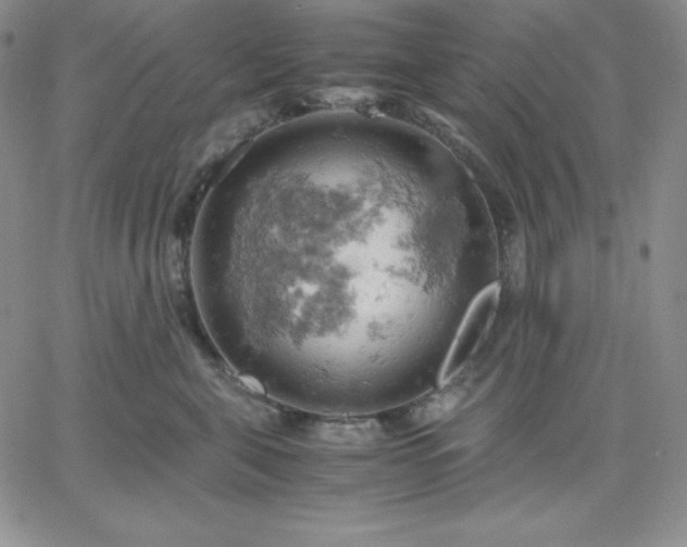 X0000061740571200512091613