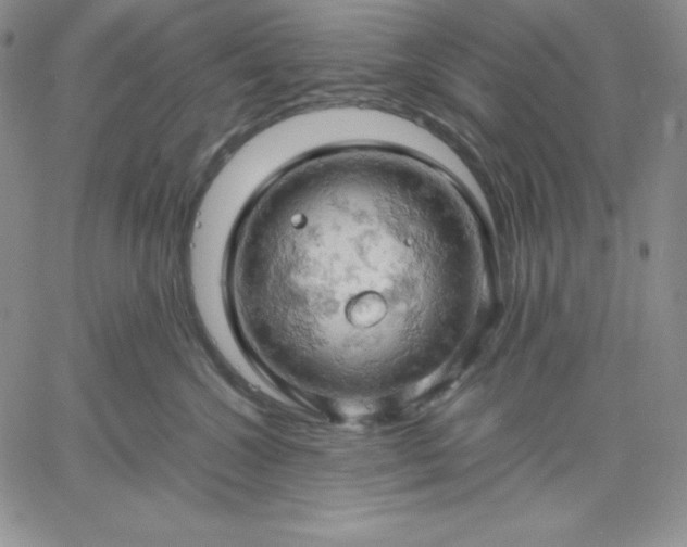 X0000061740572200512091613