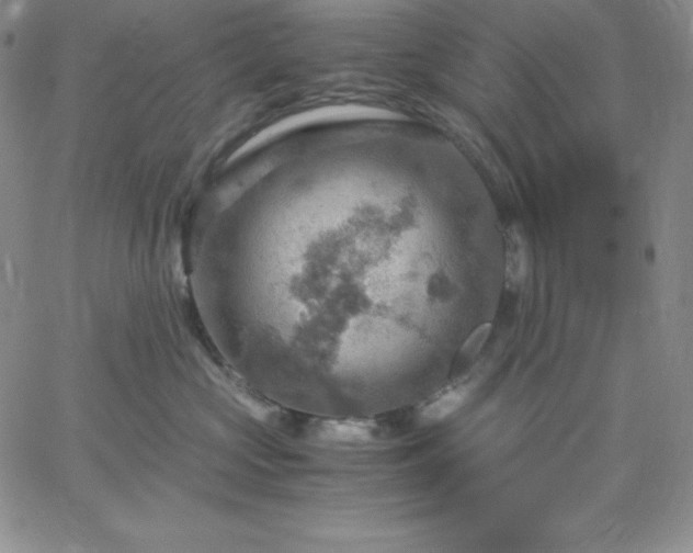 X0000061740573200512091613