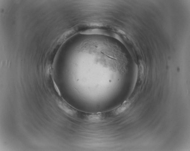 X0000061740574200512091613