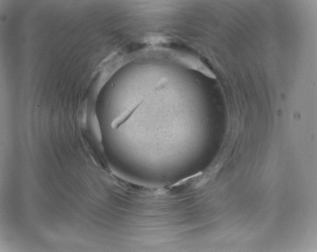 X0000061740576200512091613