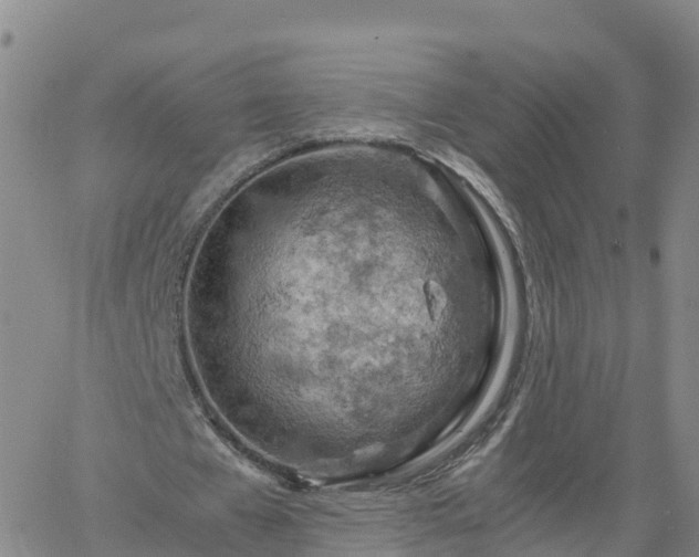 X0000061740577200512091613