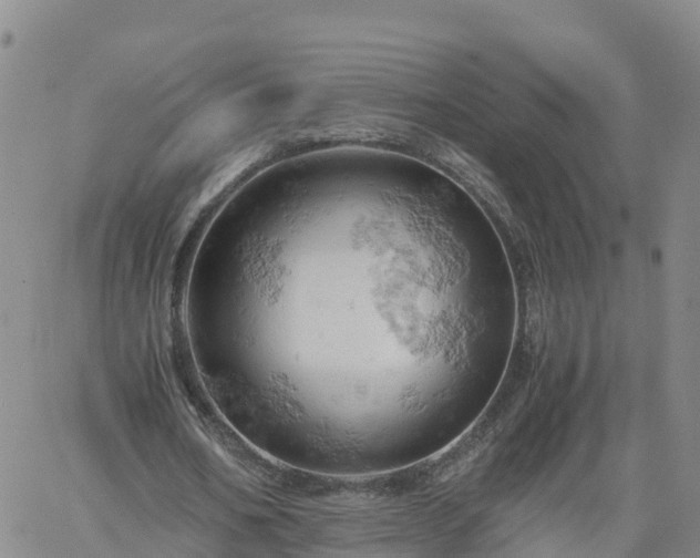 X0000061740578200512091613