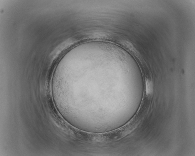 X0000061740579200512091613