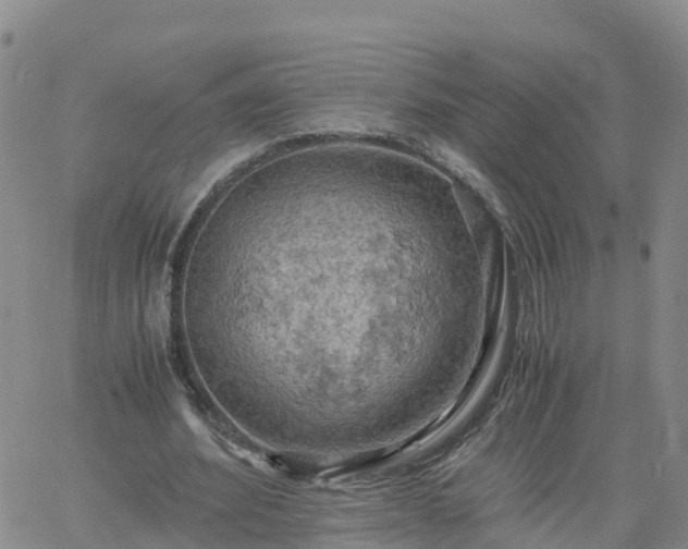 X0000061740580200512091612