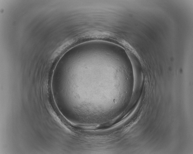 X0000061740581200512091612