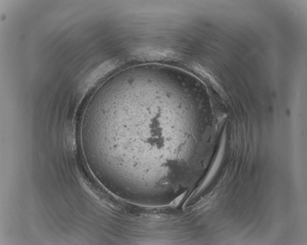 X0000061740582200512091612