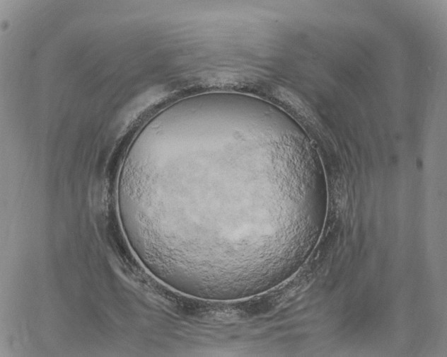 X0000061740583200512091612