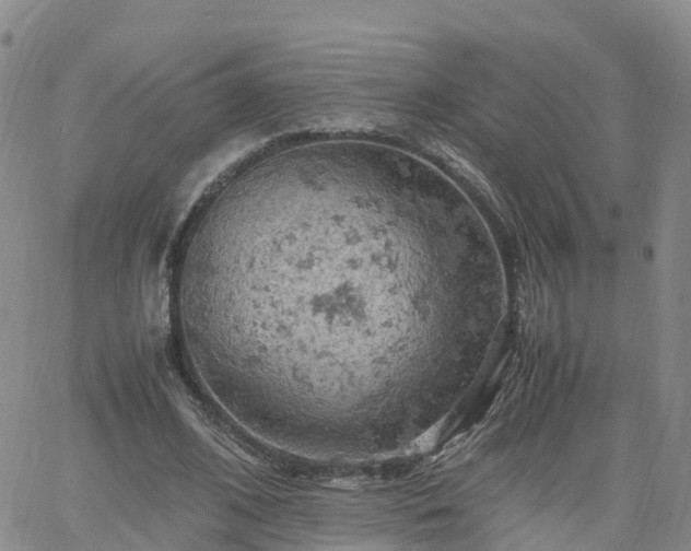 X0000061740584200512091612