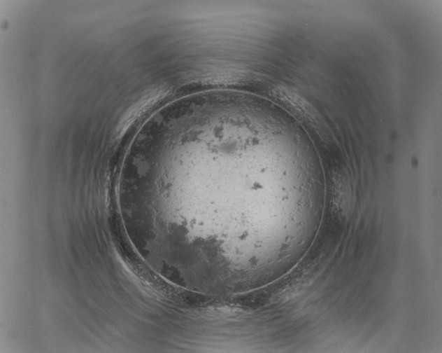 X0000061740586200512091612