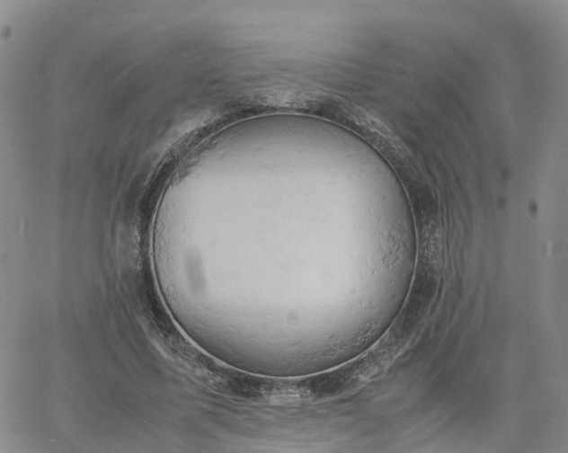 X0000061740587200512091612