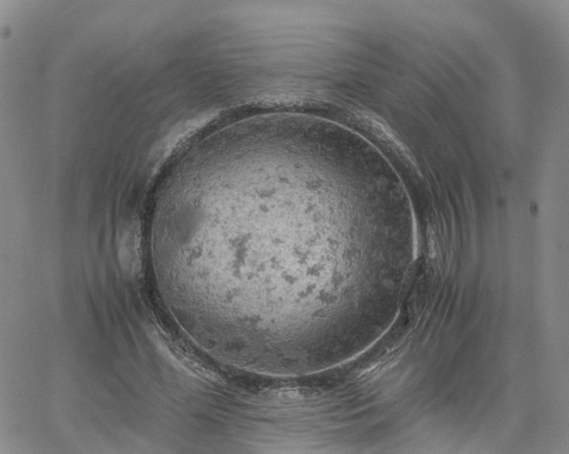 X0000061740588200512091612