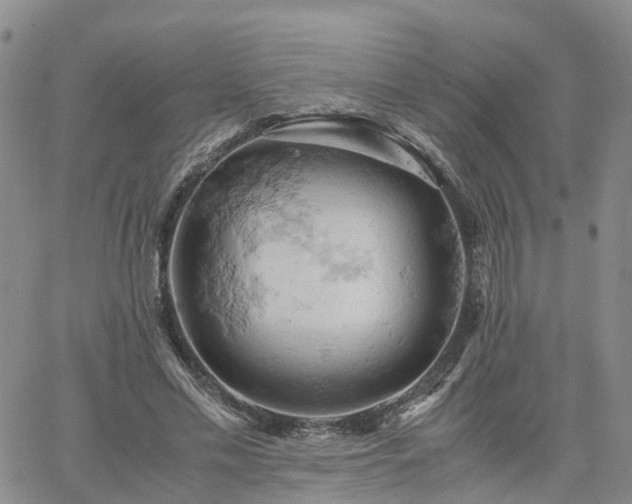 X0000061740589200512091612