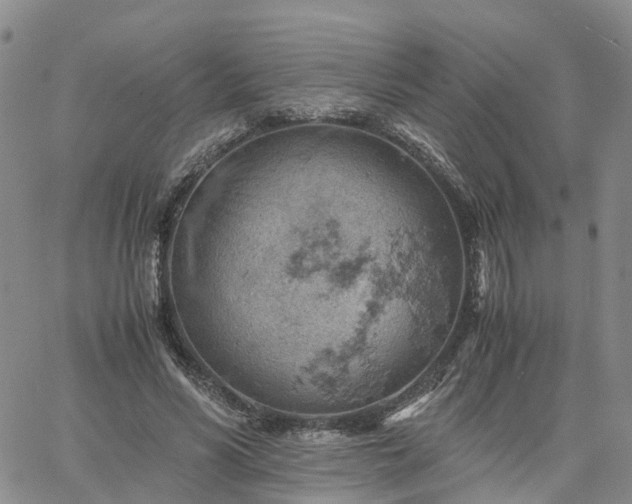 X0000061740590200512091612