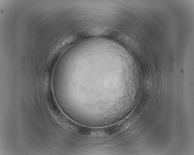 X0000061740591200512091612