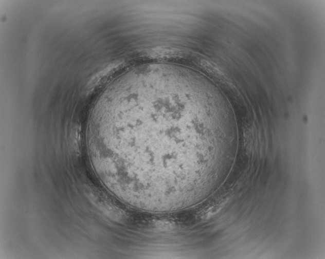 X0000061740592200512091612