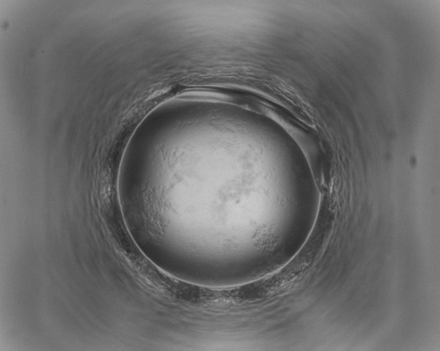 X0000061740593200512091612