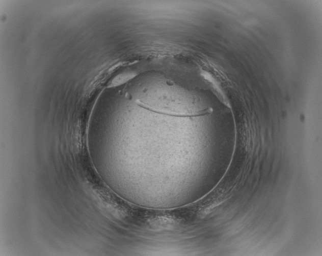 X0000061740594200512091612