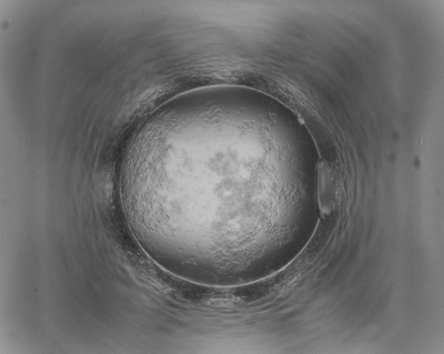 X0000061740595200512091612