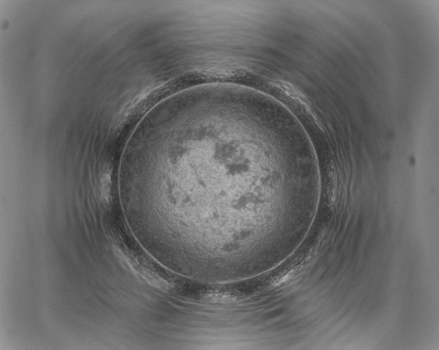 X0000061740596200512091612