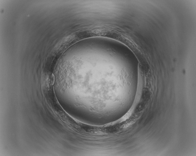 X0000061740597200512091612