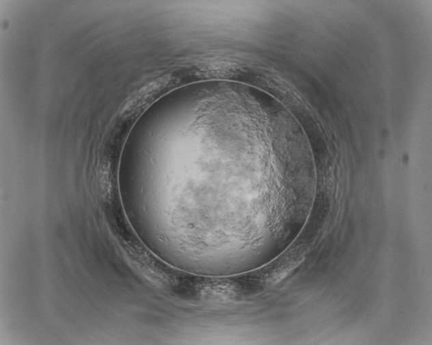 X0000061740599200512091612