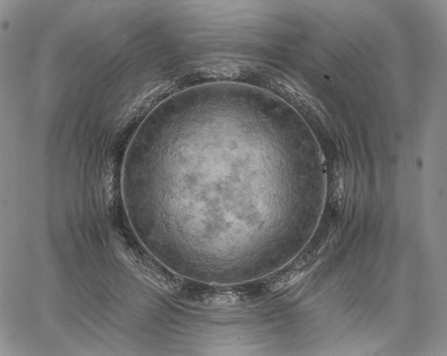 X0000061740600200512091612