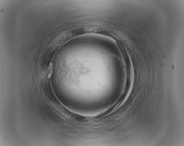 X0000061740601200512091612