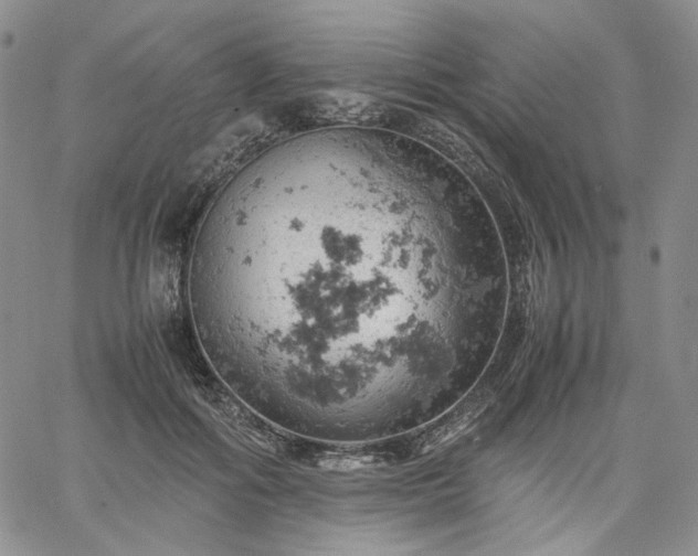 X0000061740602200512091612