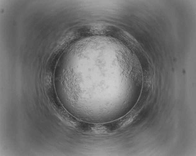 X0000061740603200512091612