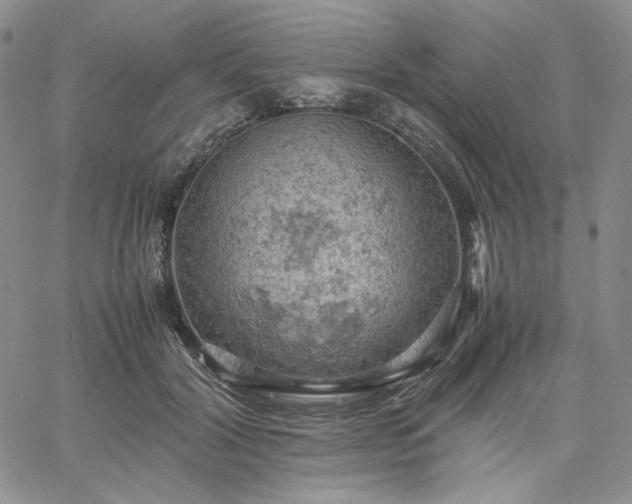 X0000061740604200512091612