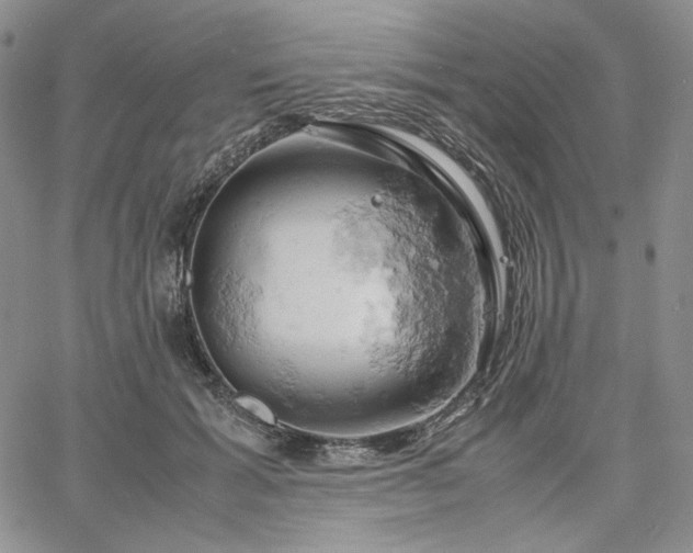 X0000061740605200512091612