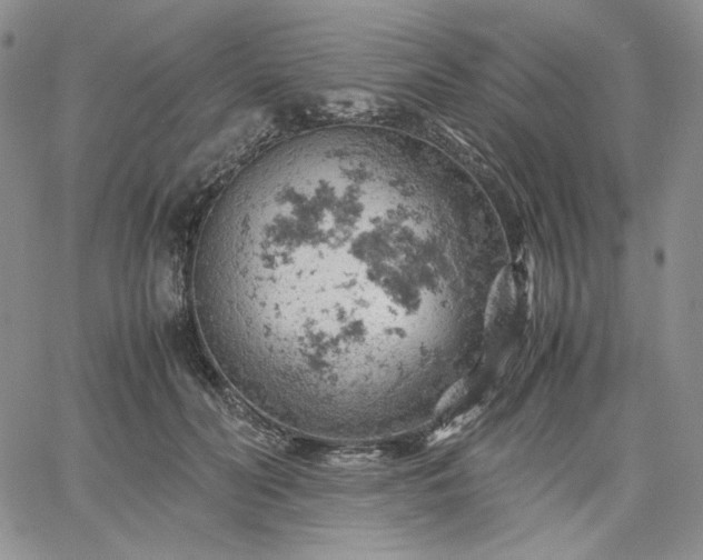 X0000061740606200512091612