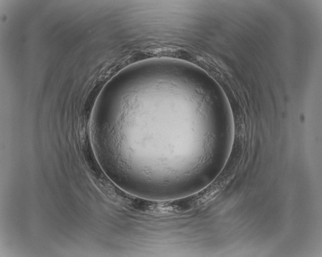 X0000061740607200512091612