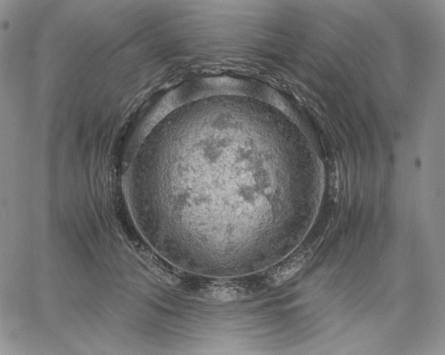 X0000061740608200512091612