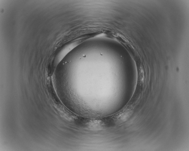 X0000061740609200512091612