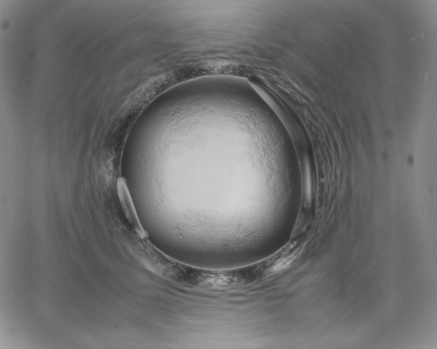 X0000061740611200512091612