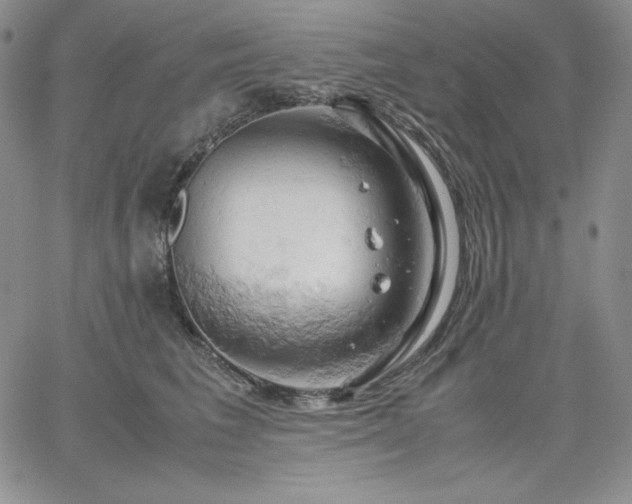 X0000061740613200512091612