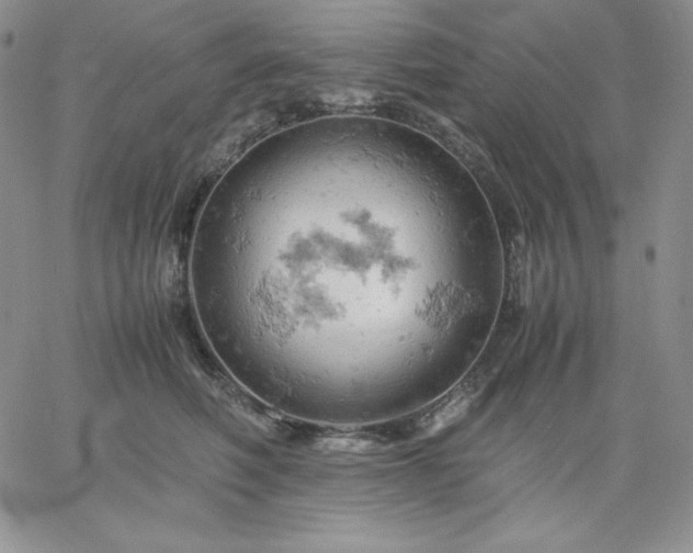 X0000061740614200512091612