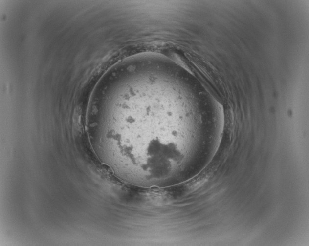 X0000061740615200512091612