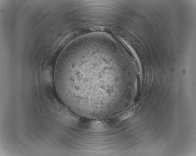 X0000061740616200512091612